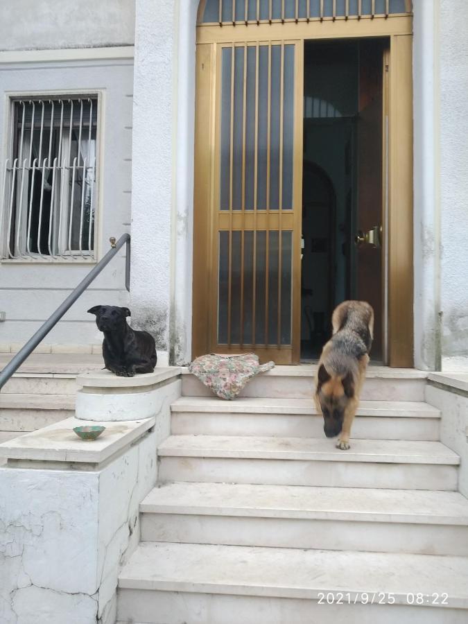 Chez Martha Bed & Breakfast เวโรนา ภายนอก รูปภาพ