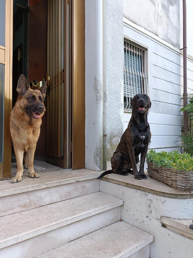Chez Martha Bed & Breakfast เวโรนา ภายนอก รูปภาพ
