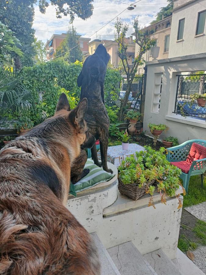 Chez Martha Bed & Breakfast เวโรนา ภายนอก รูปภาพ